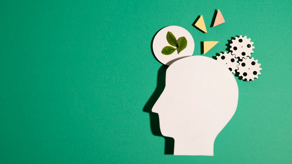 Mindset Mastery Self Concept Soul Meadow Alternative Healing Services Chandigarh