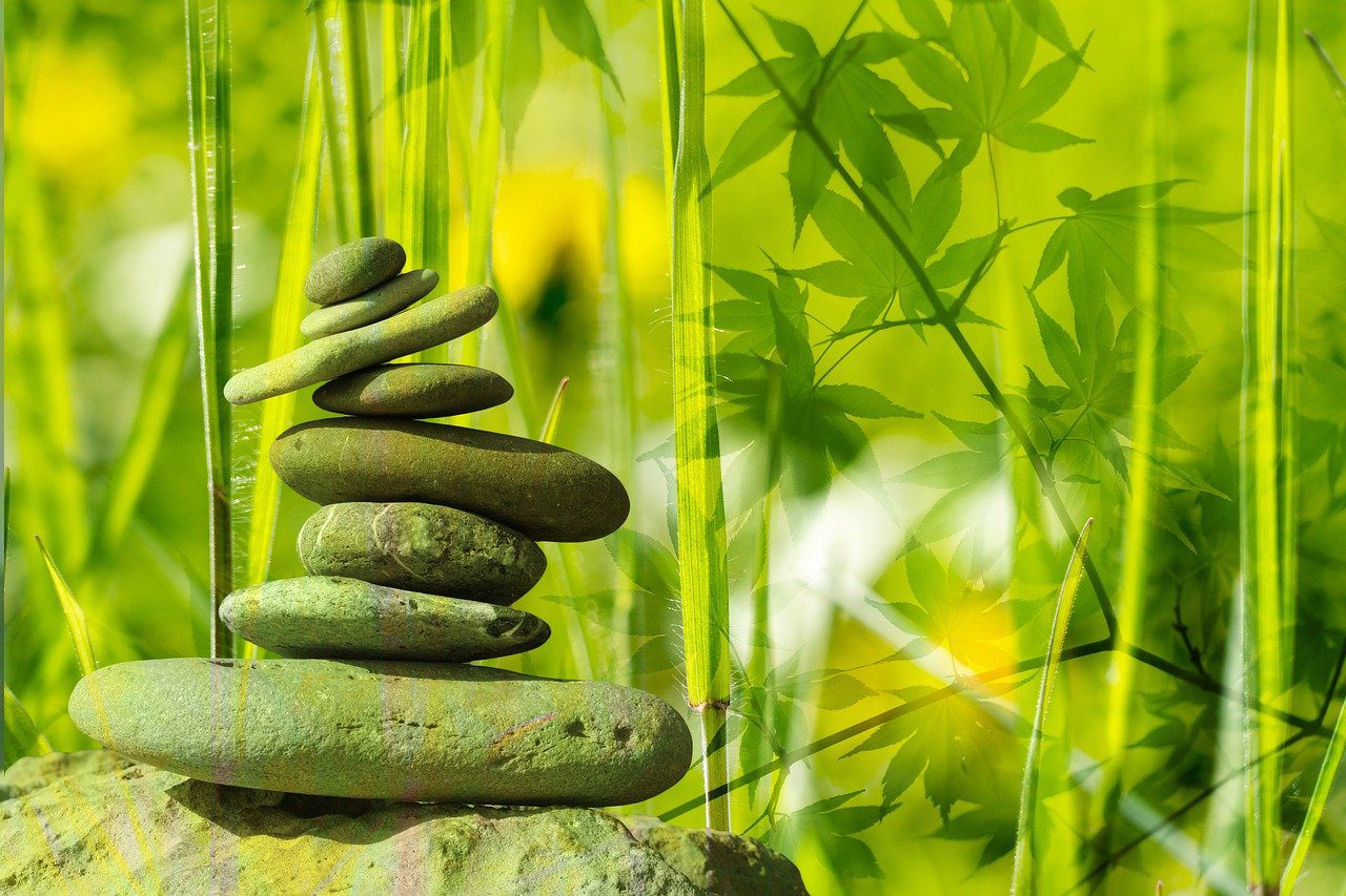 Home 41 Soul Meadow How to Align Your Mind, Body, and Soul for Holistic Wellness in Chandigarh