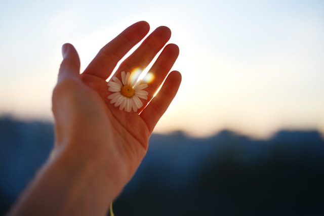 Blog 1 Soul Meadow Holistic Healing – Reiki, Counseling & Wellness Reiki Healing Online: Bringing Energy Balance Beyond Boundaries