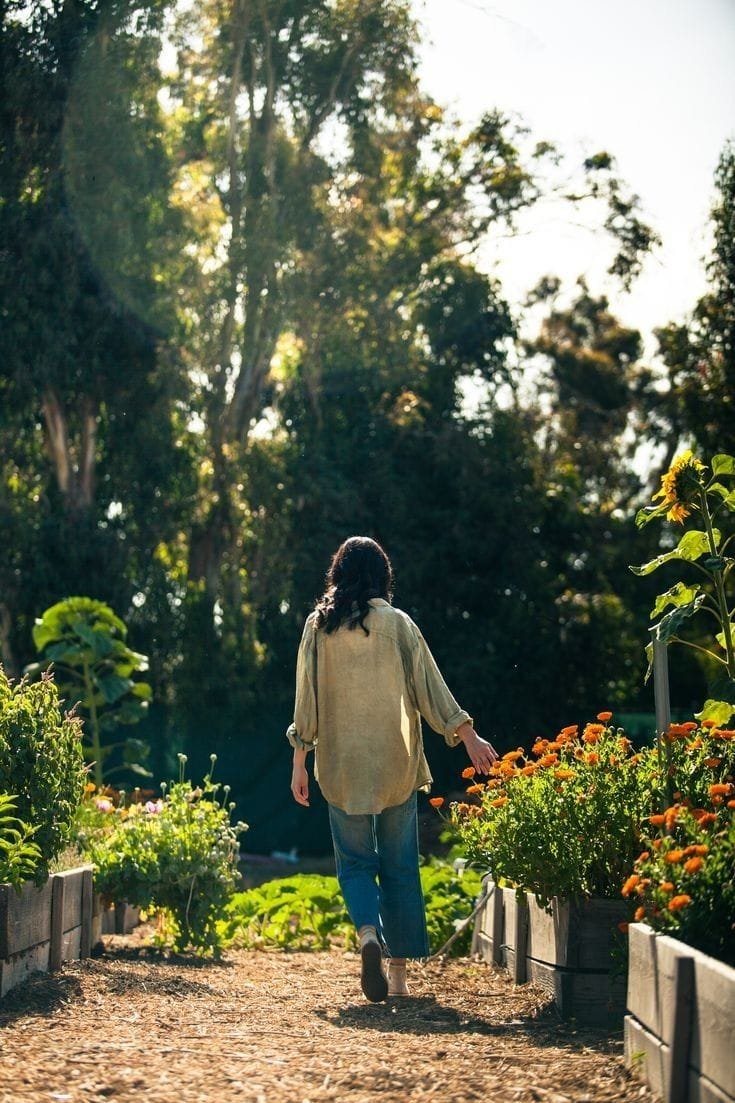 Forgiveness, acceptance and letting go