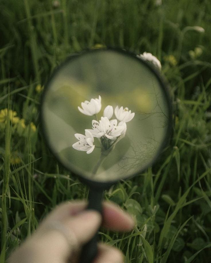 Personal integration and lived experience